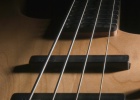 CRW 3951